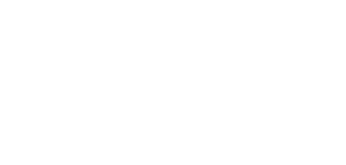 Fizz Logo